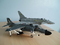 gallery_6705_151_11978.jpg