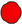 gallery_8966_241_1060.png