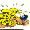 marsupilami