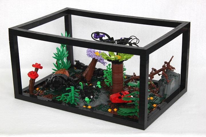 terrarium.jpg