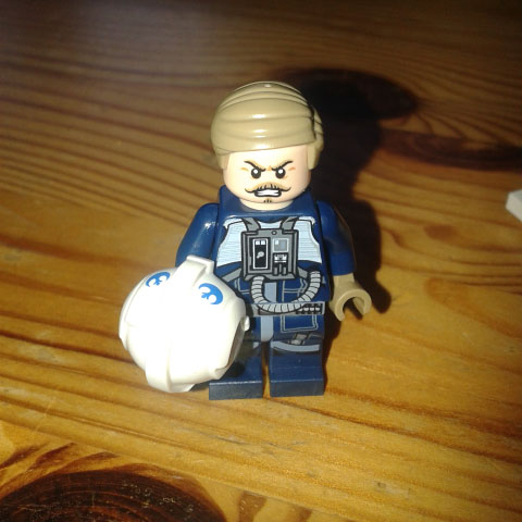 blue leader.jpg
