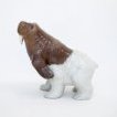 Walrus Bear