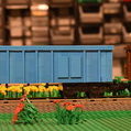 MTM