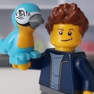 lego_guyon02