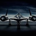 LM71Blackbird